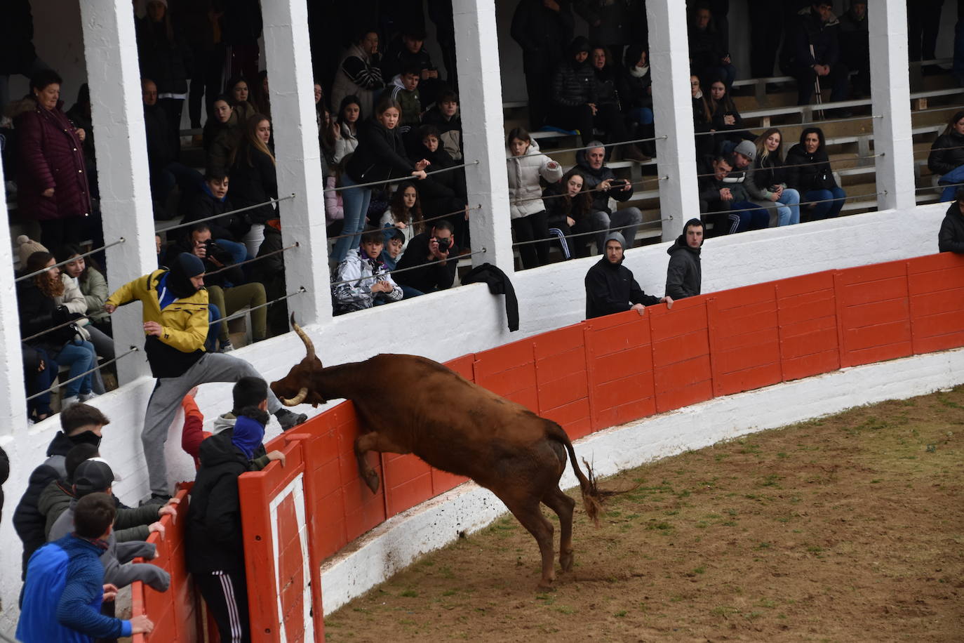 Las fiestas de invierno de Aldeanueva, en imágenes