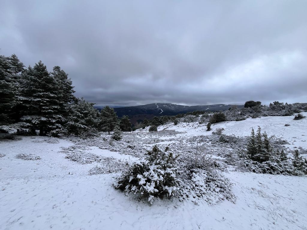 Primeras estampas de nieve en El Rasillo