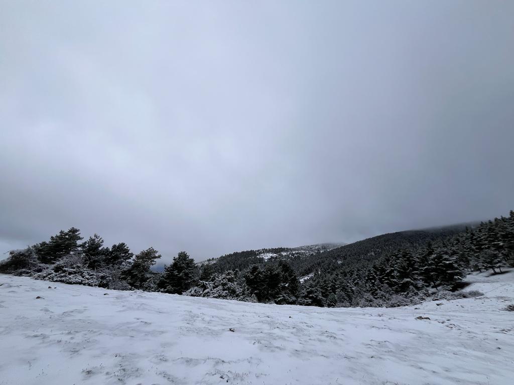 Primeras estampas de nieve en El Rasillo