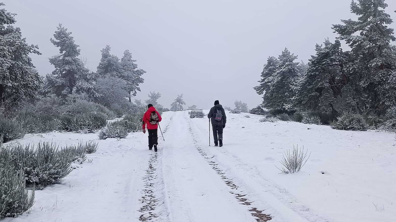 Nieve en Pazuengos en el primer domingo del año