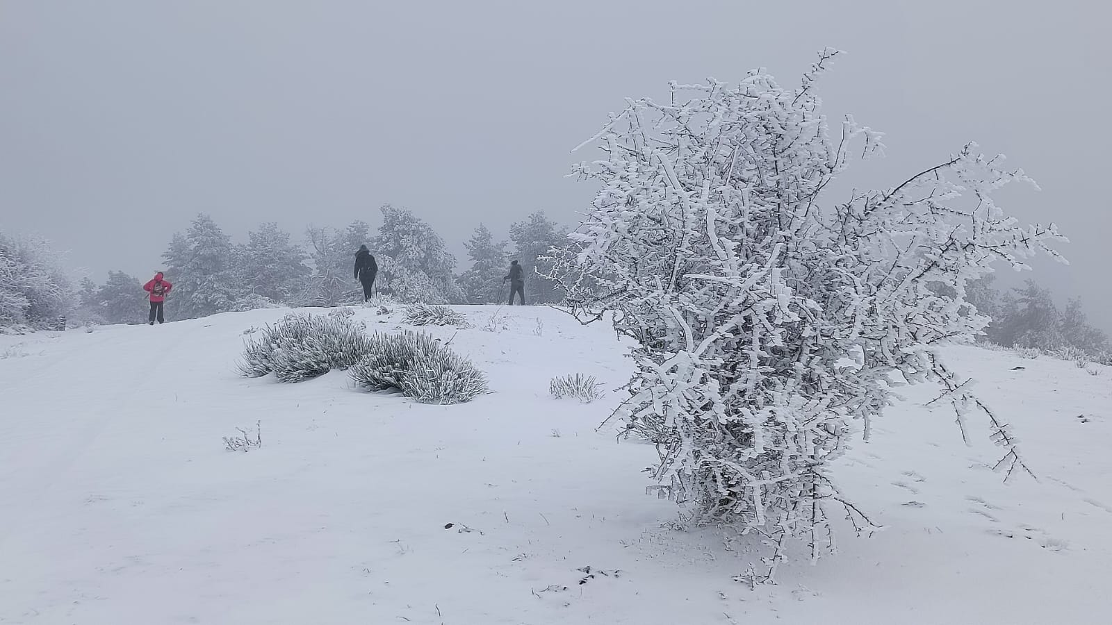 Nieve en Pazuengos en el primer domingo del año