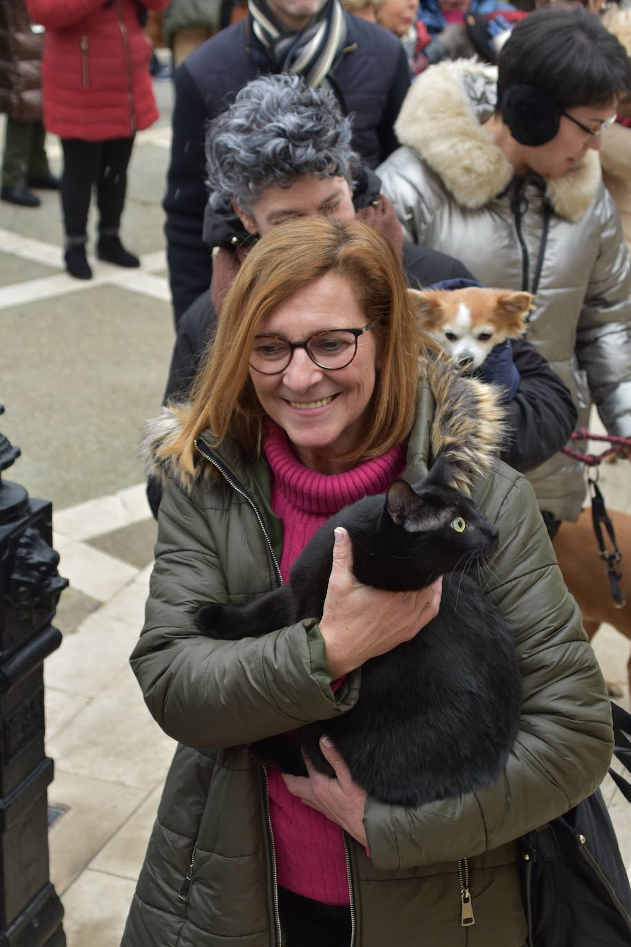 La bendición de San Antón, en imágenes