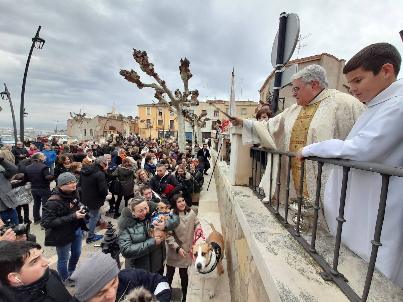 La bendición de San Antón, en imágenes