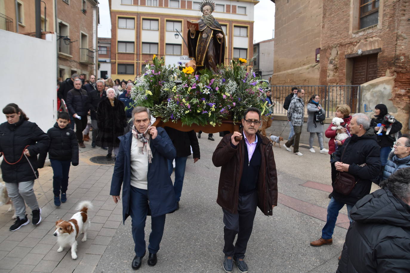 La bendición de San Antón, en imágenes