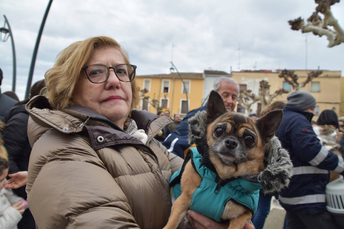 La bendición de San Antón, en imágenes