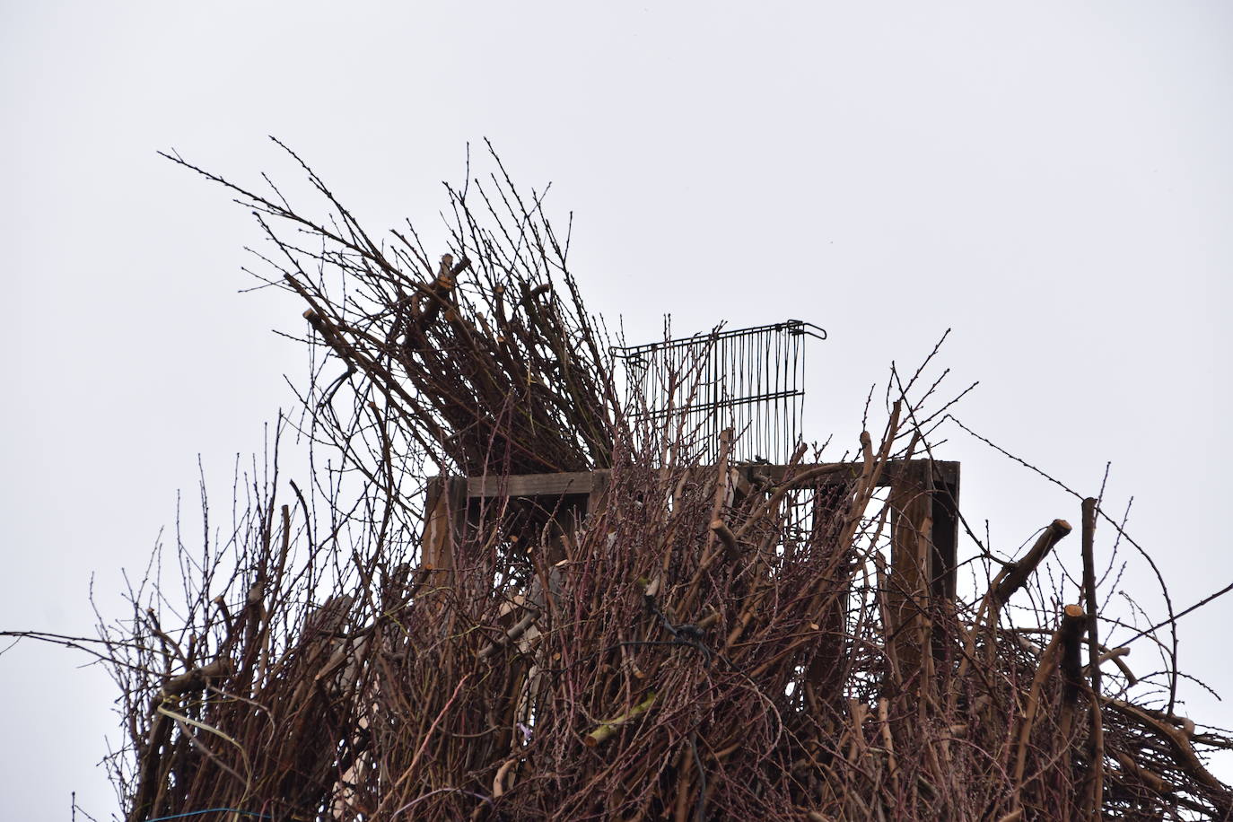 La hoguera de San Antón