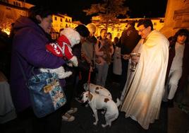 Bendición de animales en Logroño por San Antón.