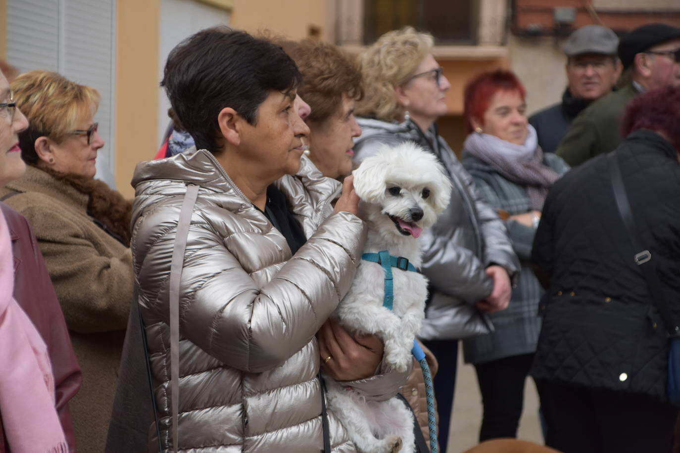 Bendición de animales por San Antón en Rincón de Soto