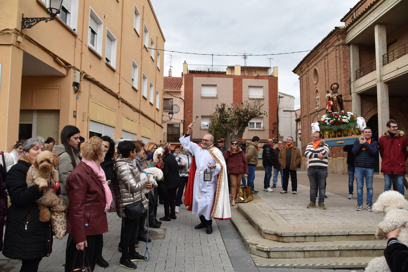 Bendición de animales por San Antón en Rincón de Soto