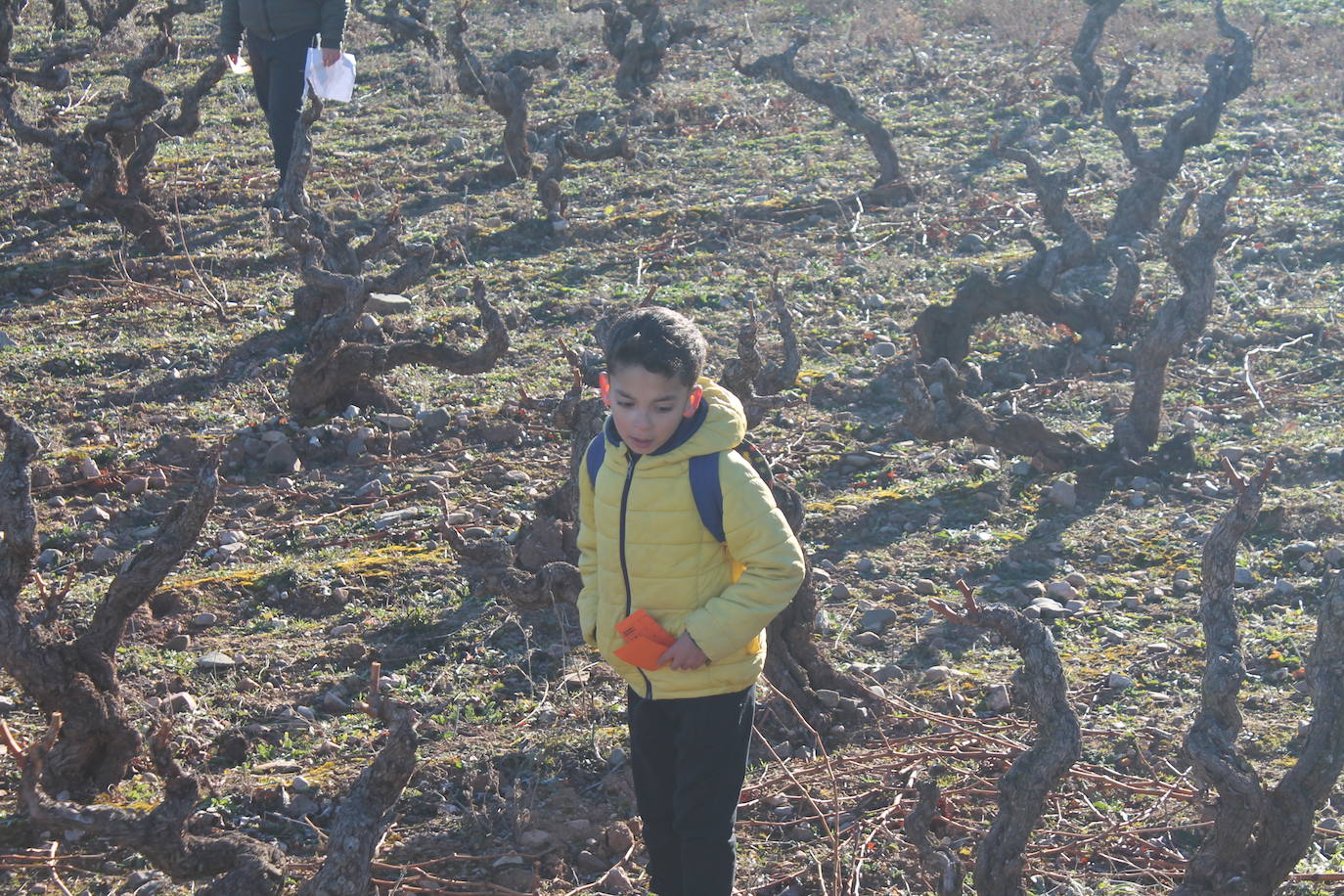 Carrera infantil de orientación en Badarán