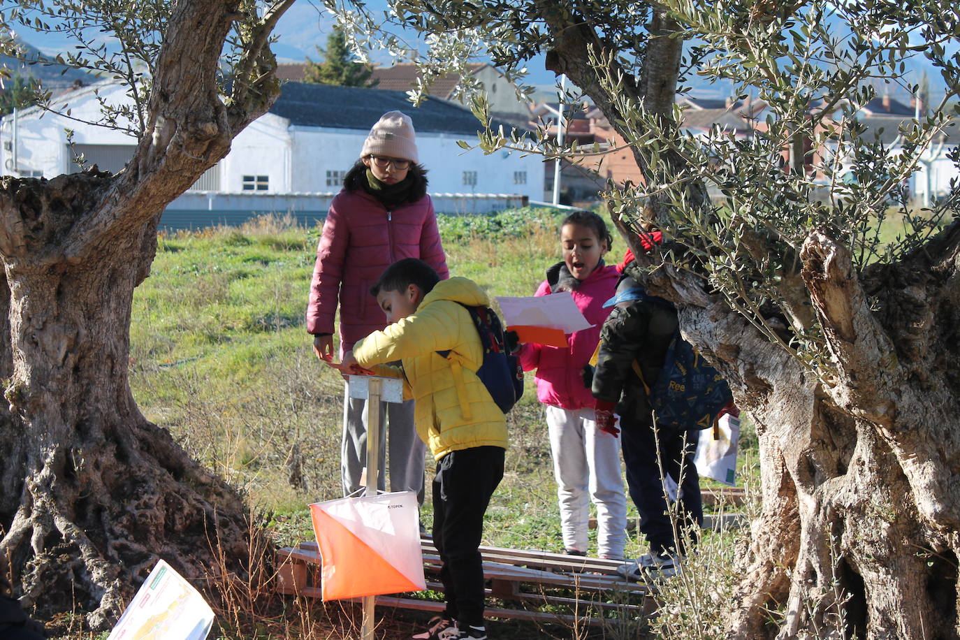 Carrera infantil de orientación en Badarán