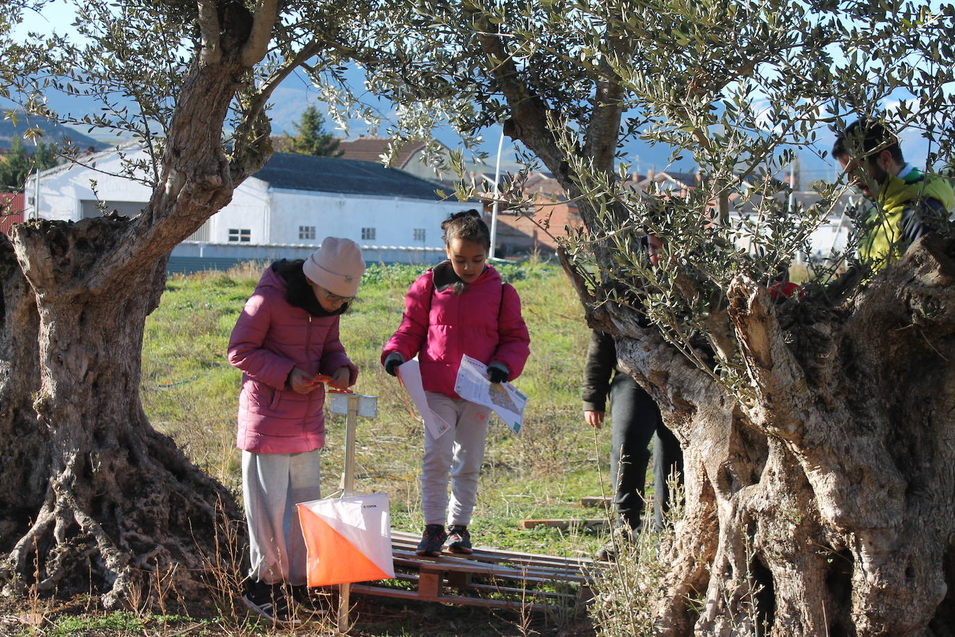 Carrera infantil de orientación en Badarán