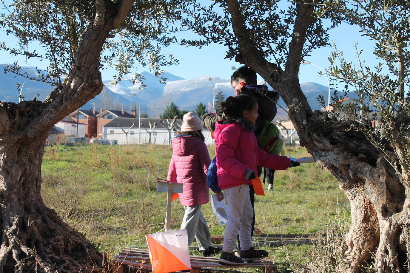 Carrera infantil de orientación en Badarán