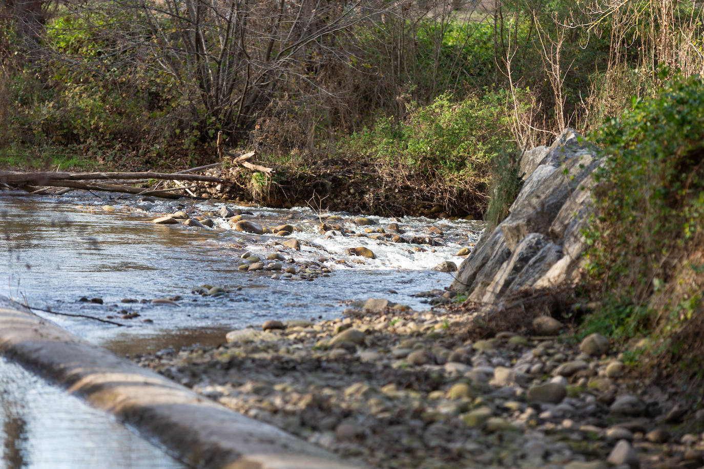 Imágenes del Río Iregua hace unos días