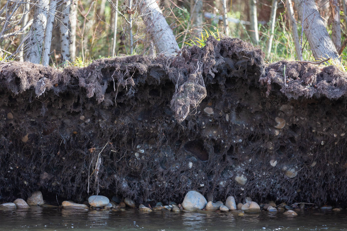 Imágenes del Río Iregua hace unos días