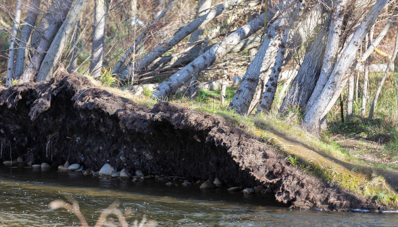Imágenes del Río Iregua hace unos días