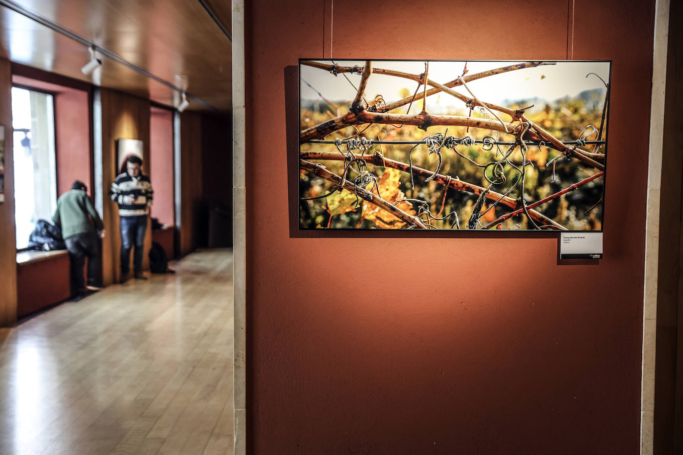 &#039;El Rioja y los 5 sentidos&#039;, los premiados