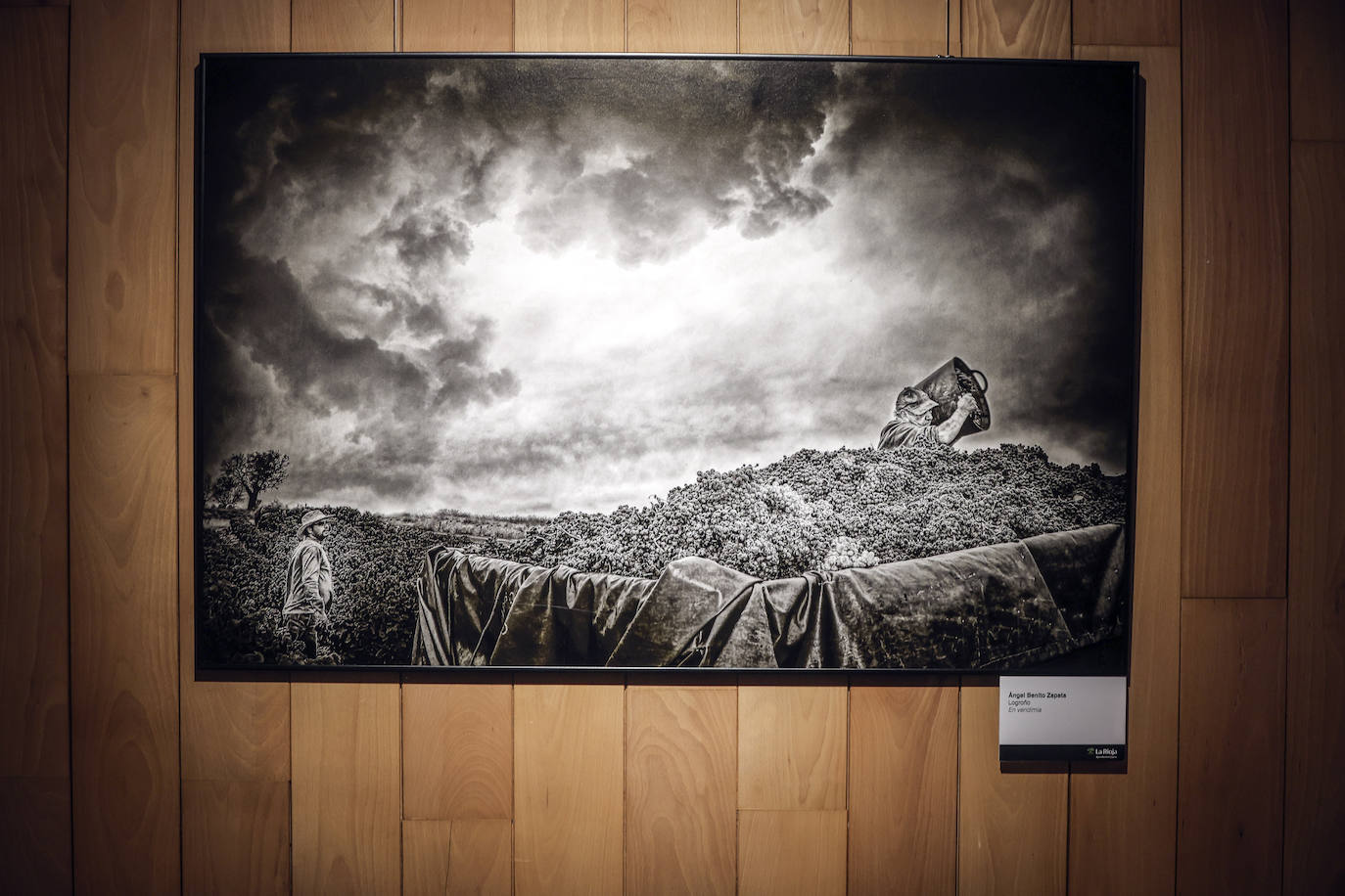 &#039;El Rioja y los 5 sentidos&#039;, los premiados