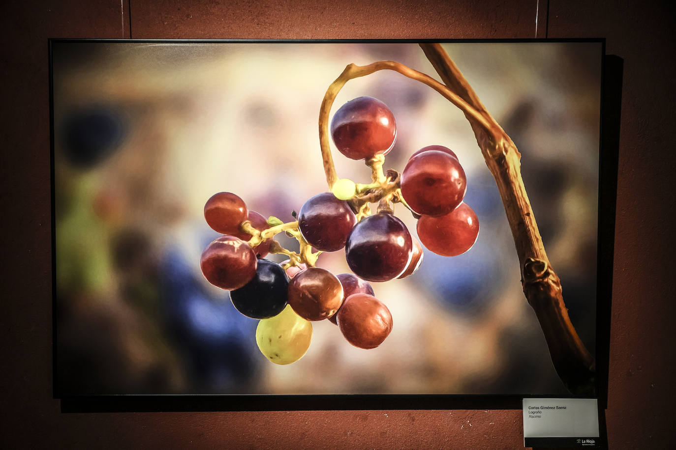 &#039;El Rioja y los 5 sentidos&#039;, los premiados