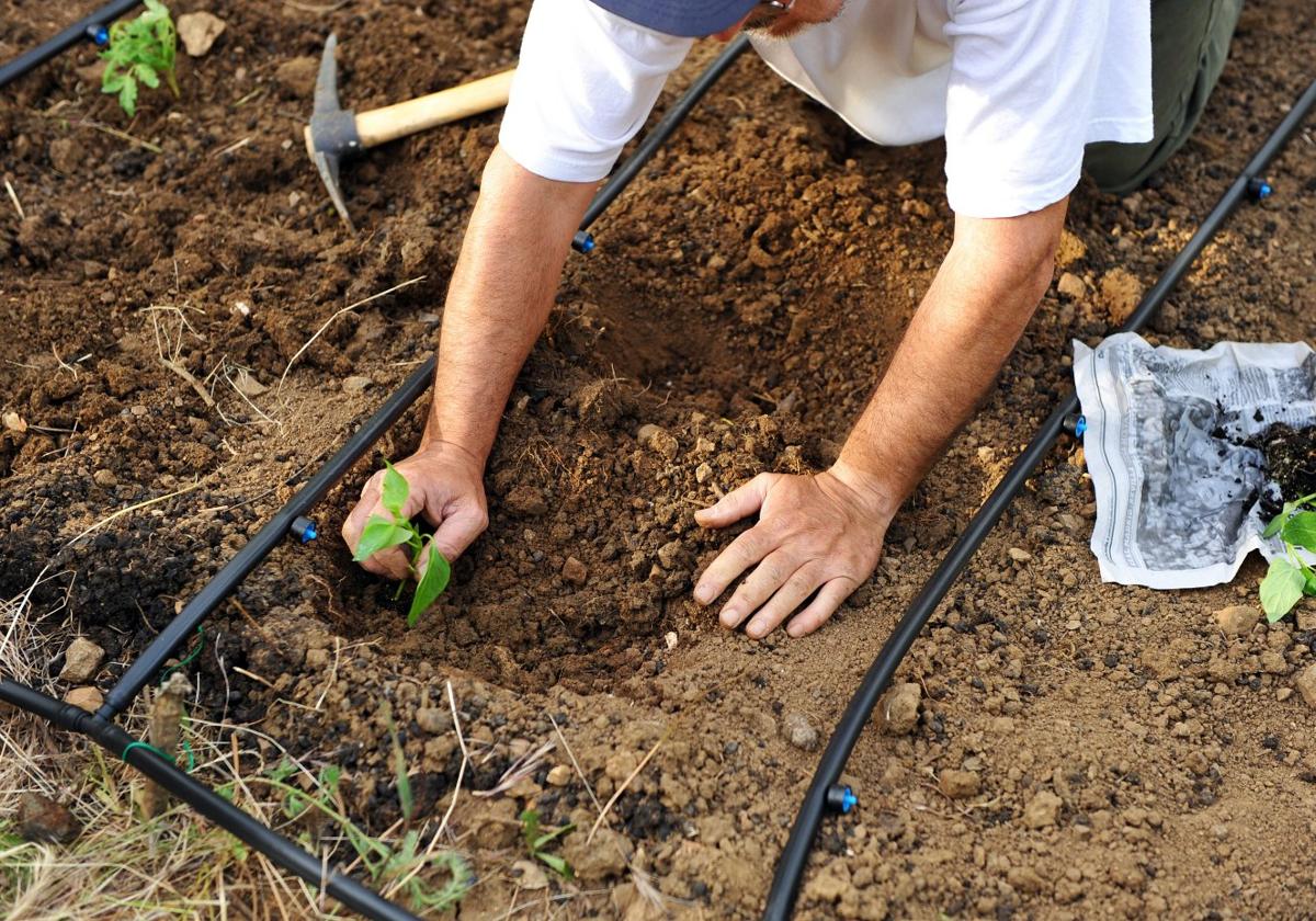 El sector agrario es uno de los más sensibles a la subida del SMI.