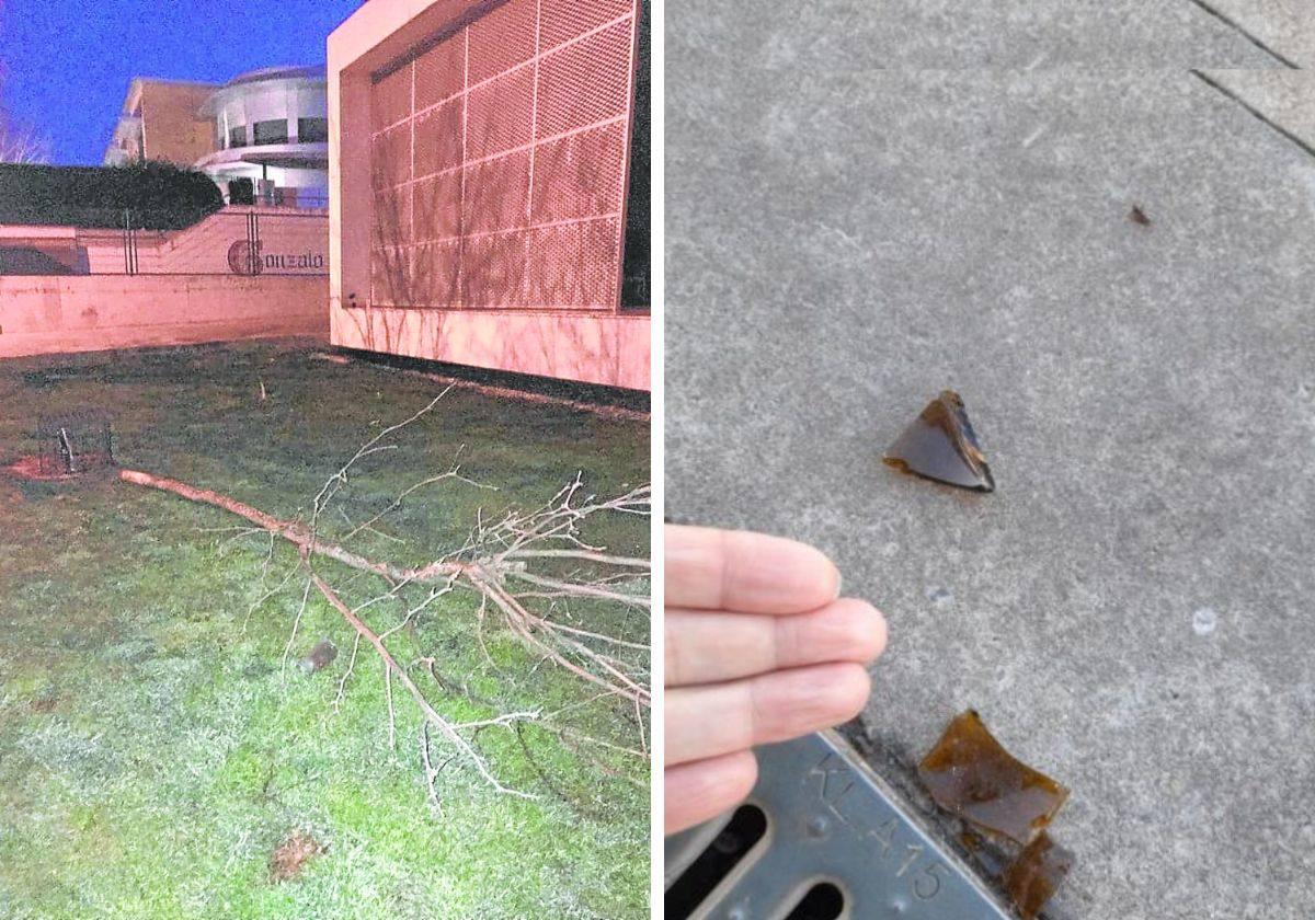 A la izquierda, uno de los árboles arrancados a la entrada del CEIP Gonzalo de Berceo. A la derecha, cristales rotos en el patio de CEIP Gonzalo de Berceo el lunes por la mañana.