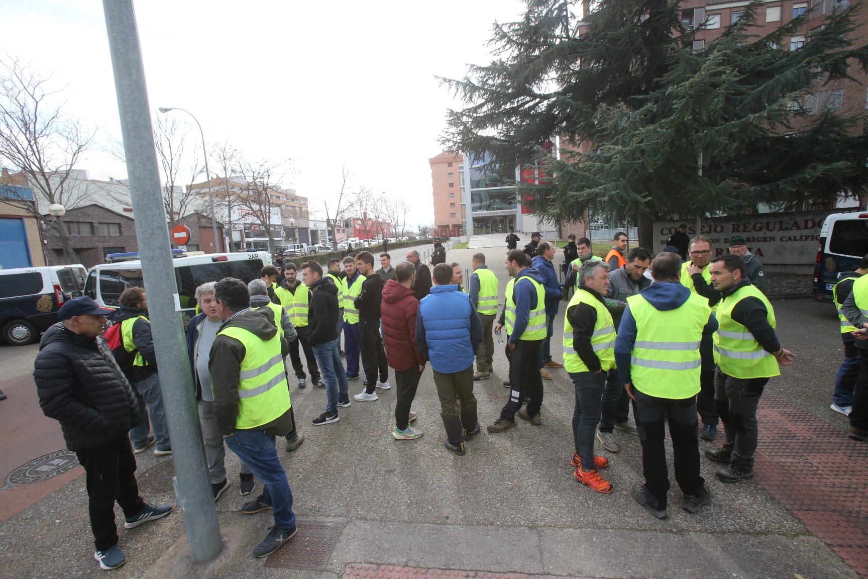 Calle Estambrera, junto al Consejo Regulador