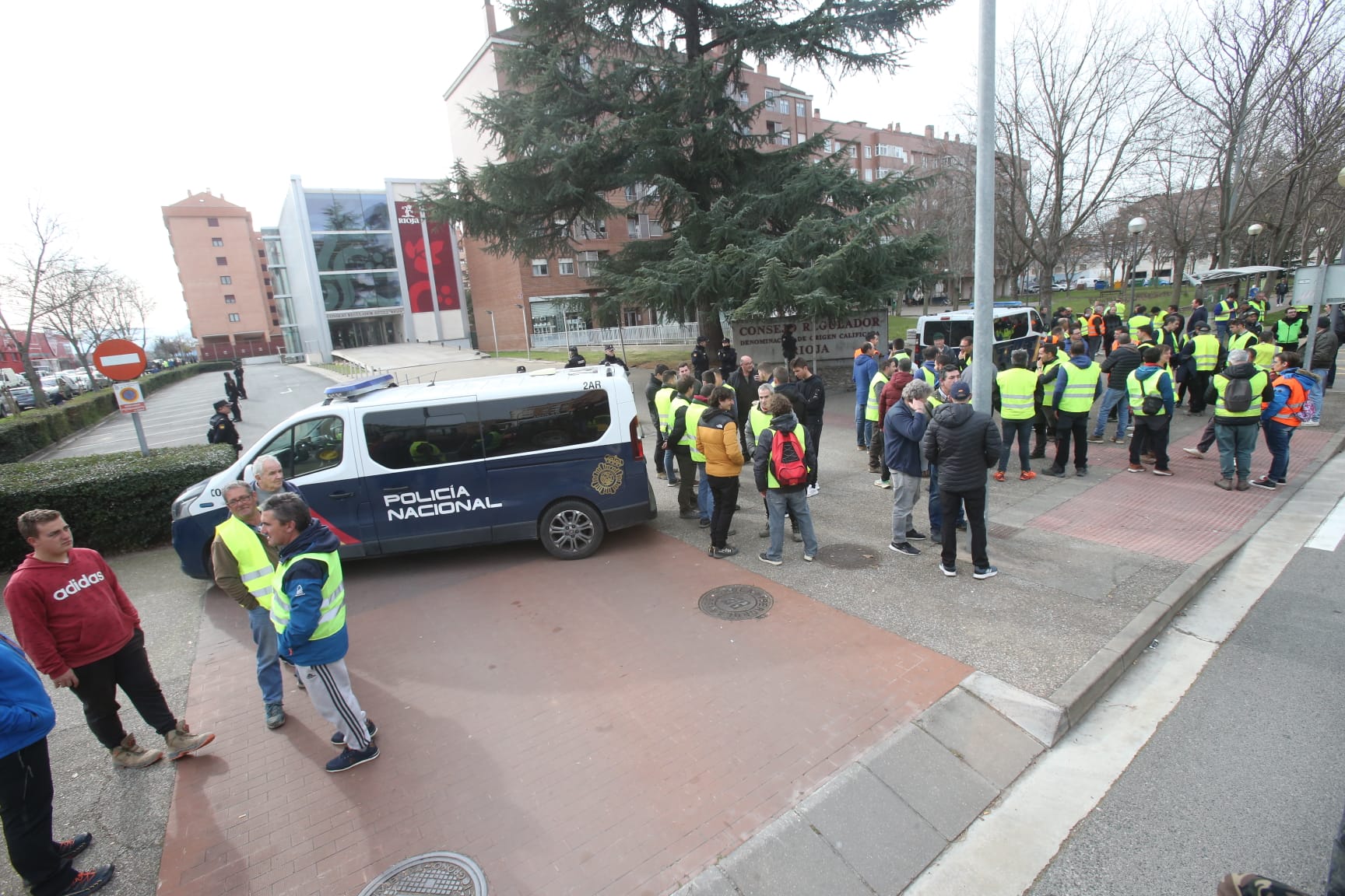 Calle Estambrera, junto al Consejo Regulador