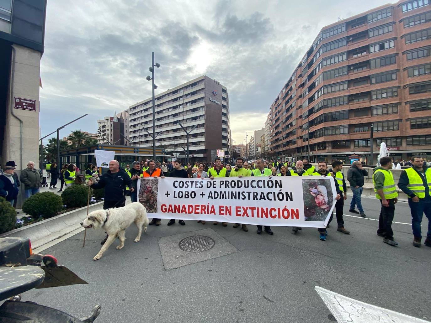 Las imágenes de la protesta en Logroño