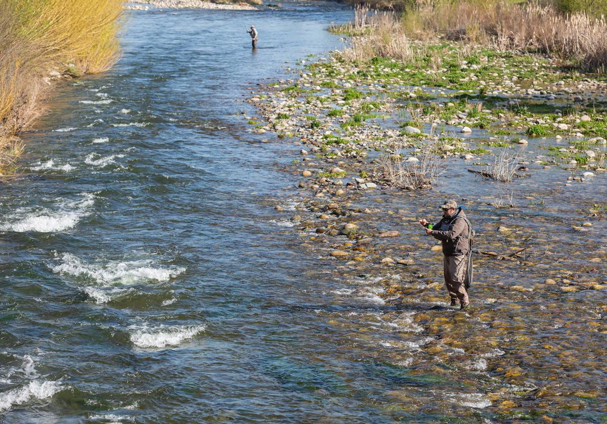 La temporada de pesca discurrirá, entre el 31 de marzo y el 31 de agosto