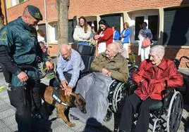 Exhibición canina de la Guardia Civil en la residencia Los Manitos