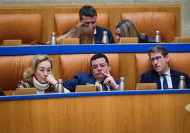 El presidente Capellán, abajo a la dercha, durante el pleno del Parlamento