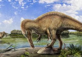 Recreación de cómo se cree que era el dinosaurio hallado en Igea.
