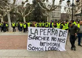 Algunos manifestantes sujetan la pancarta que luego han colocado frente a la sede de la Delegación del Gobierno en La Rioja.