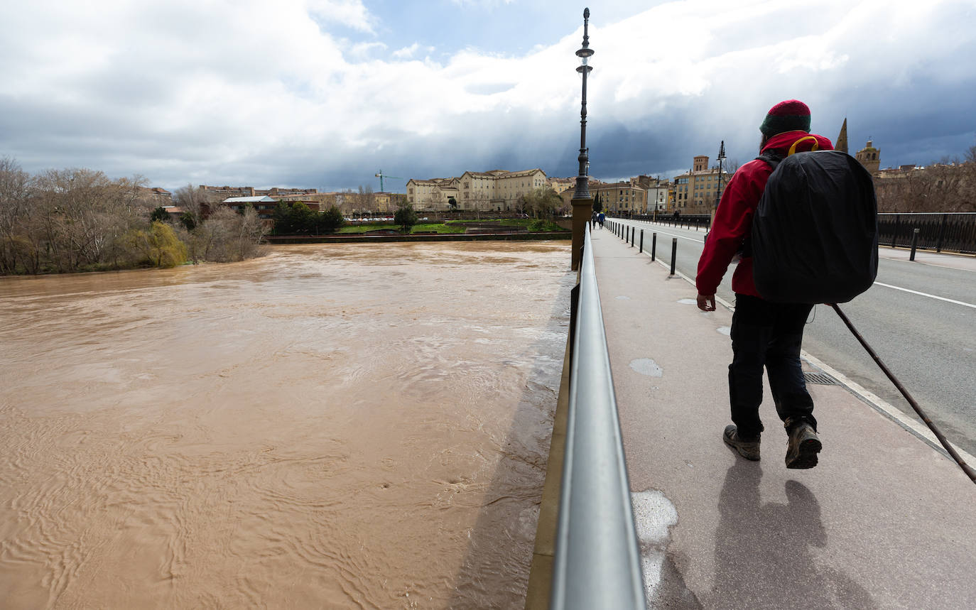 La crecida del Ebro en Logroño, en imágenes