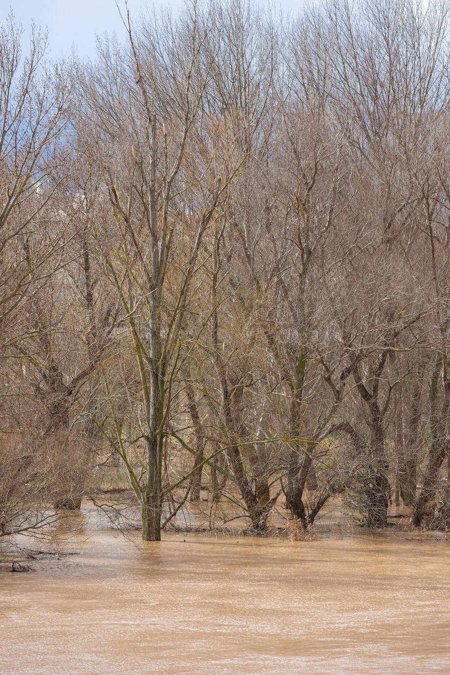 La crecida del Ebro en Logroño, en imágenes