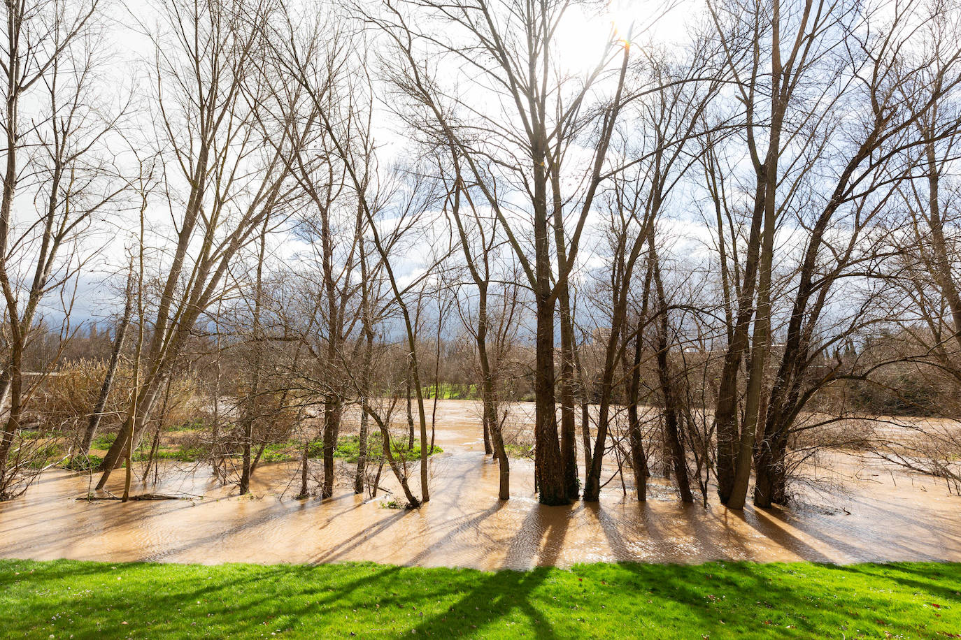 La crecida del Ebro en Logroño, en imágenes