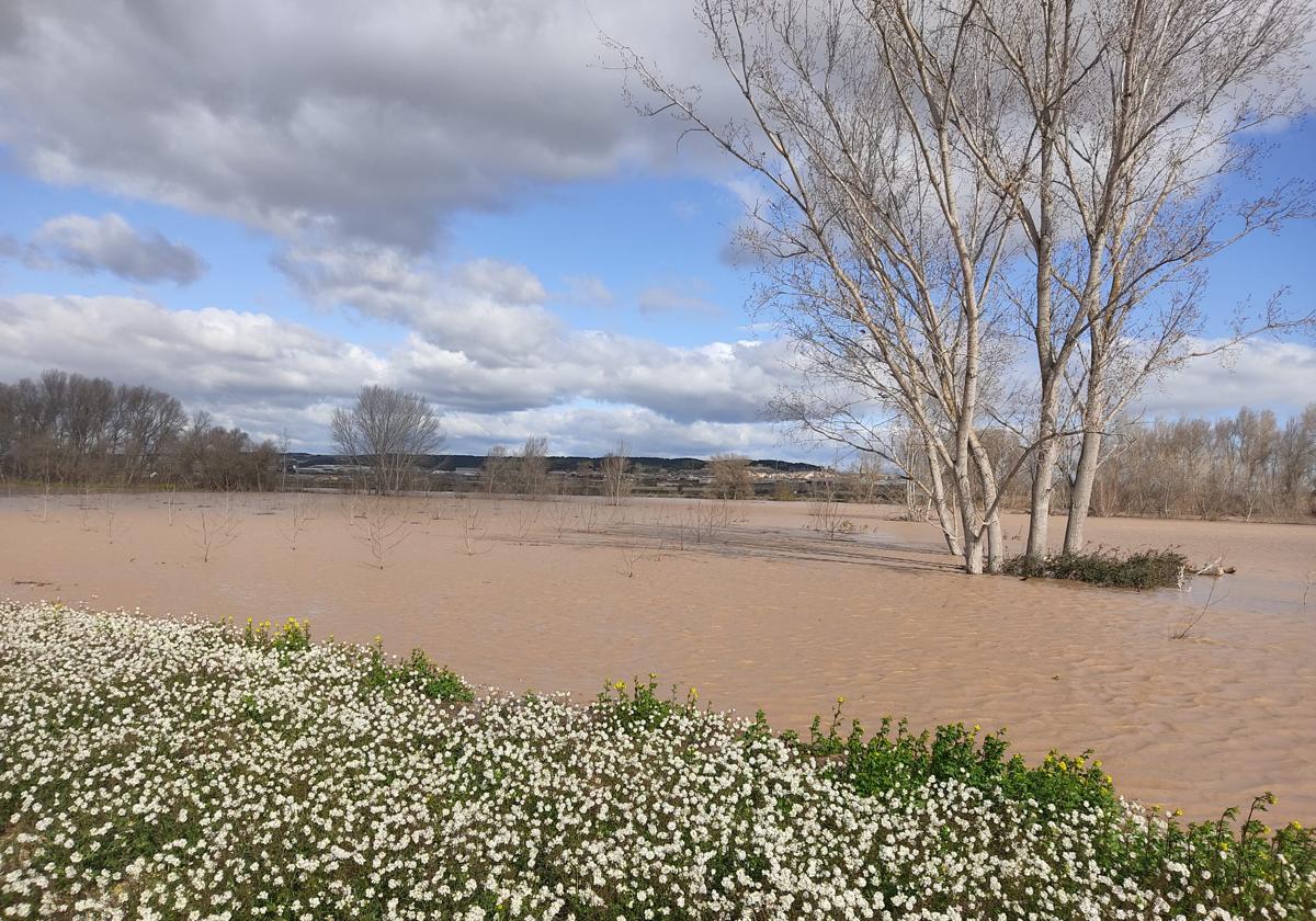 Crecida del Ebro a su paso por Alfaro