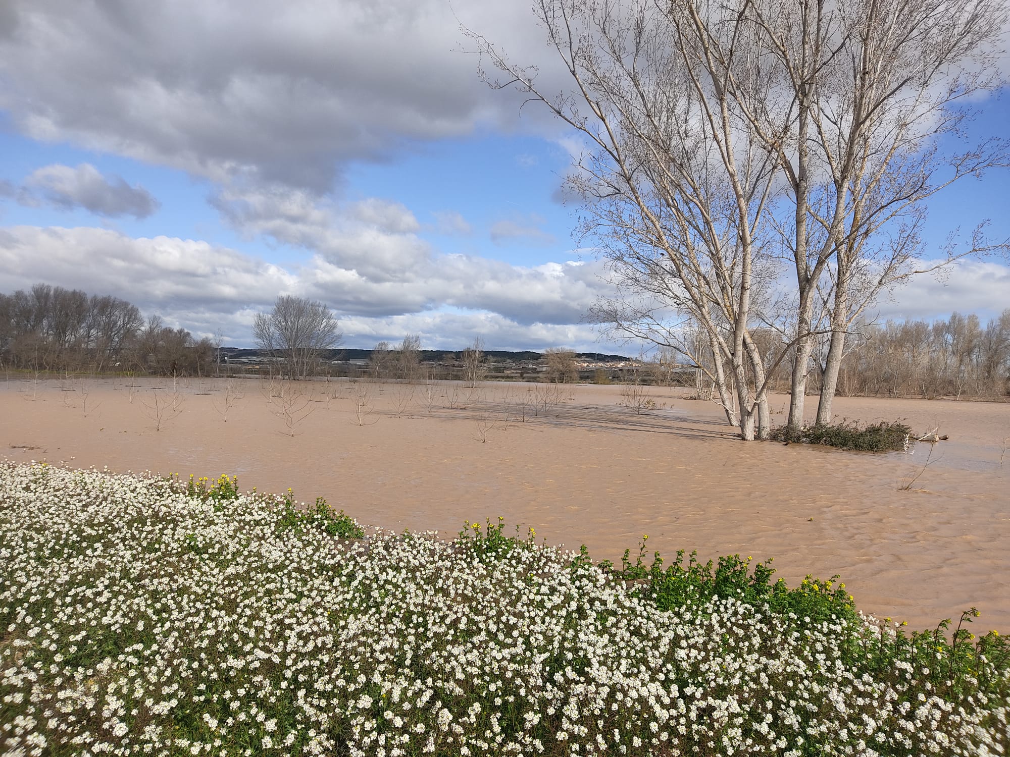 Crecida del Ebro a su paso por Alfaro