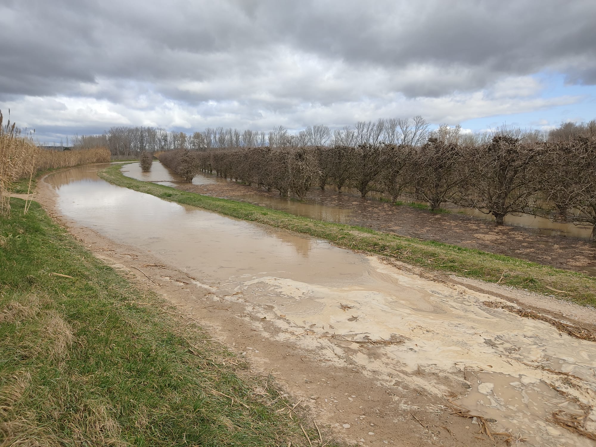 Crecida del Ebro a su paso por Alfaro