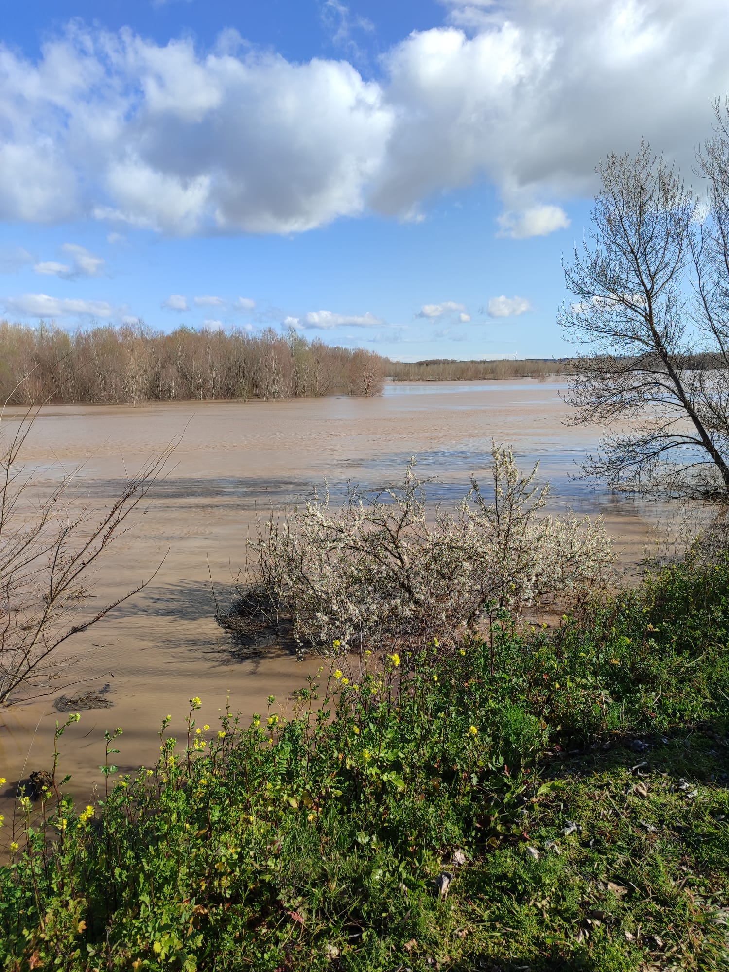 Crecida del Ebro a su paso por Alfaro