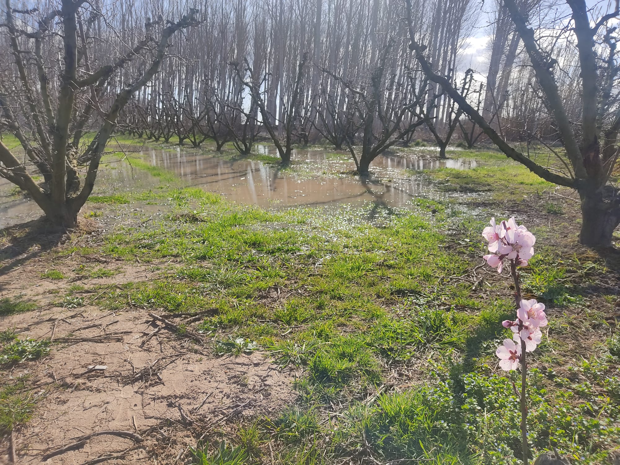 Crecida del Ebro a su paso por Alfaro