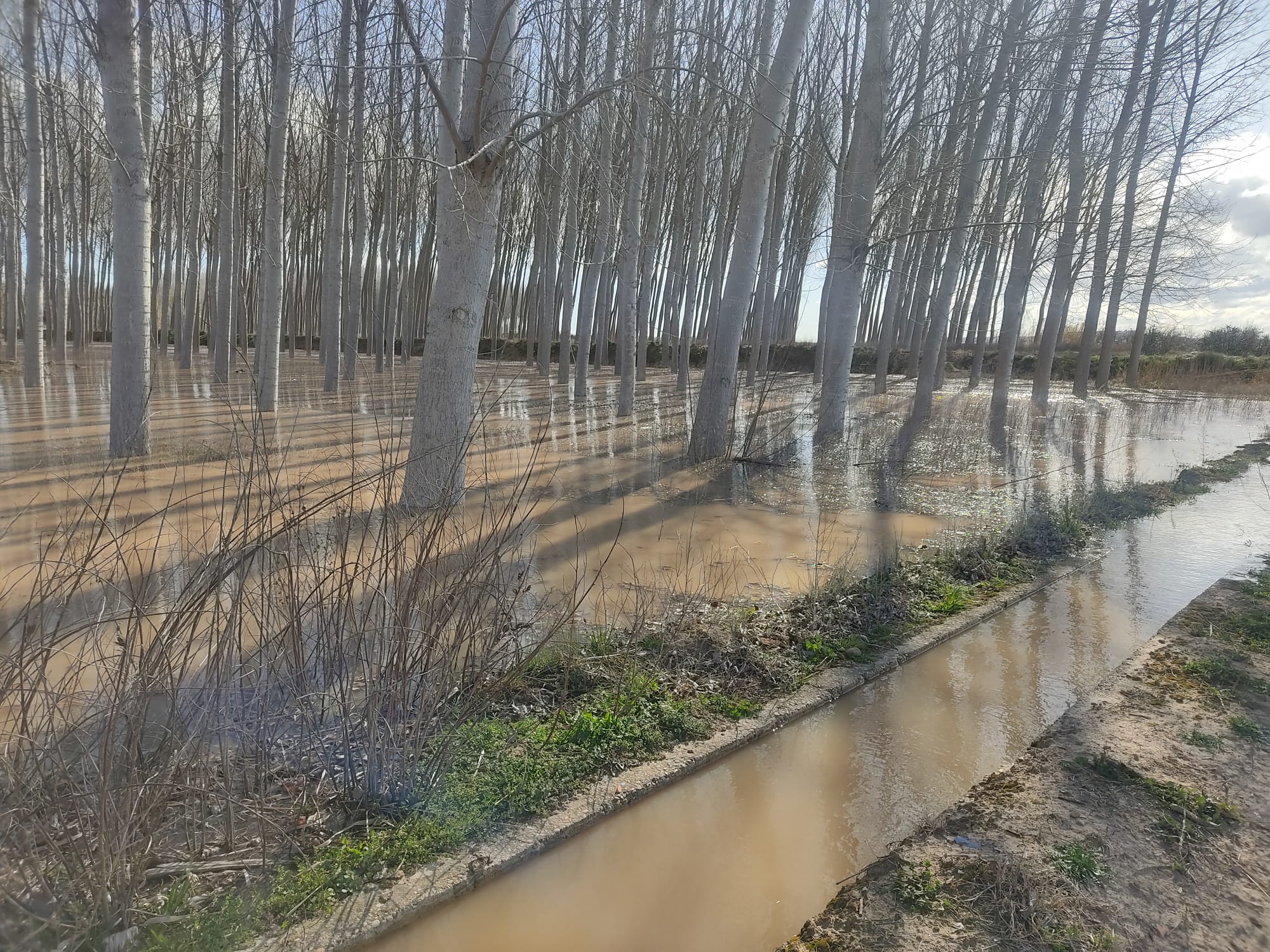 Crecida del Ebro a su paso por Alfaro