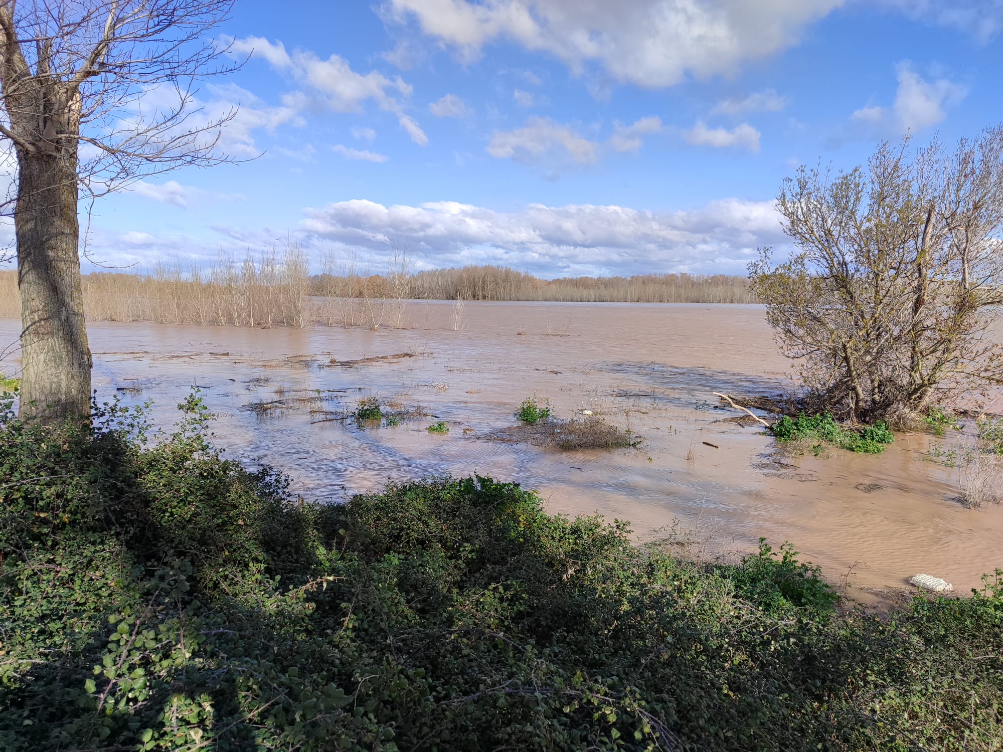 Crecida del Ebro a su paso por Alfaro