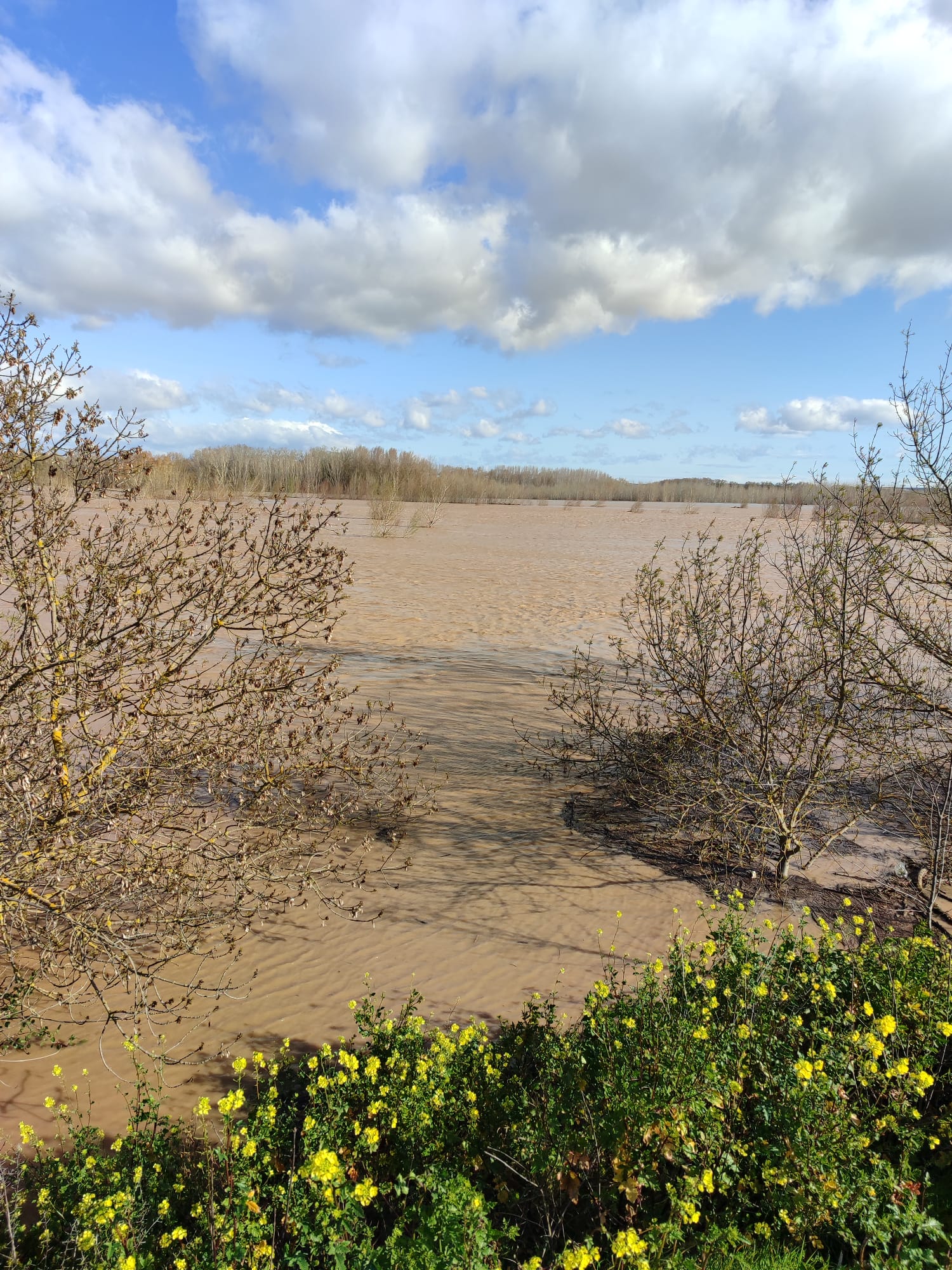 Crecida del Ebro a su paso por Alfaro