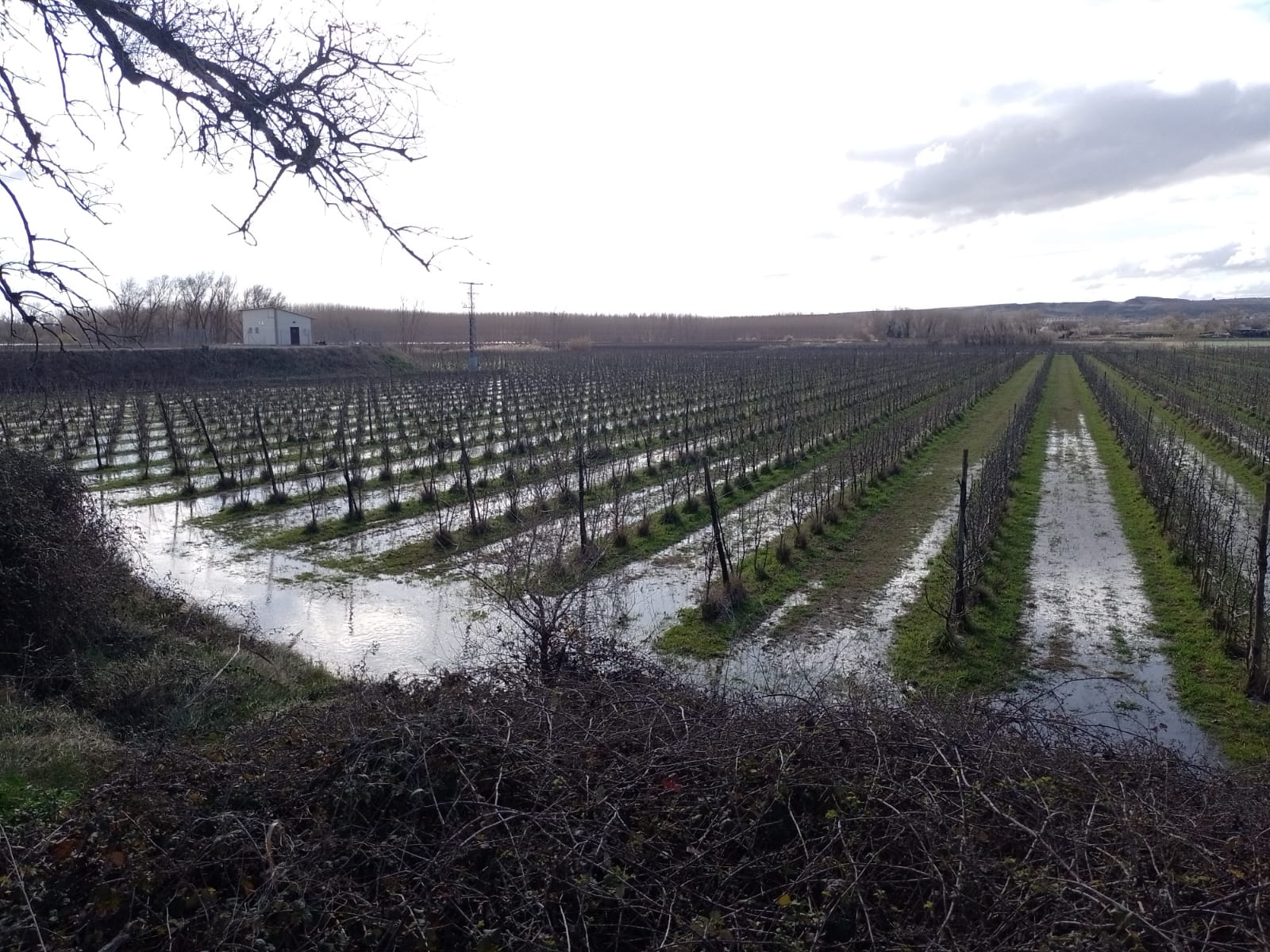 Crecida del Ebro a su paso por Alfaro