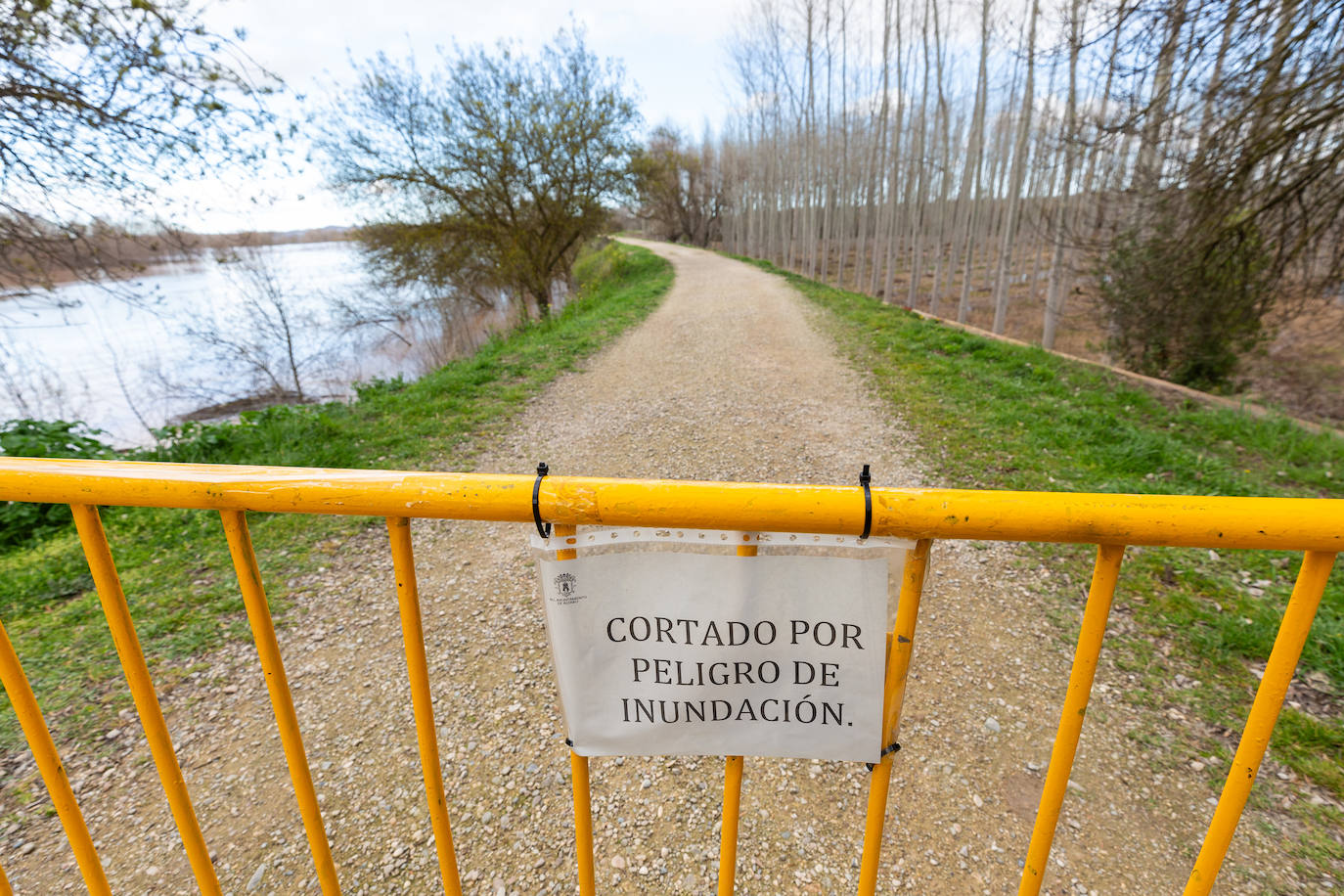 Así bajaba el Ebro por Alfaro