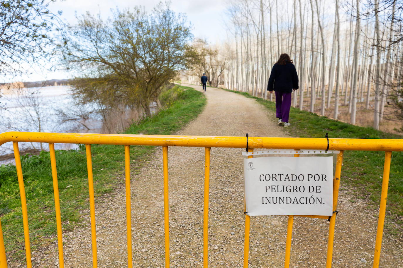 Así bajaba el Ebro por Alfaro