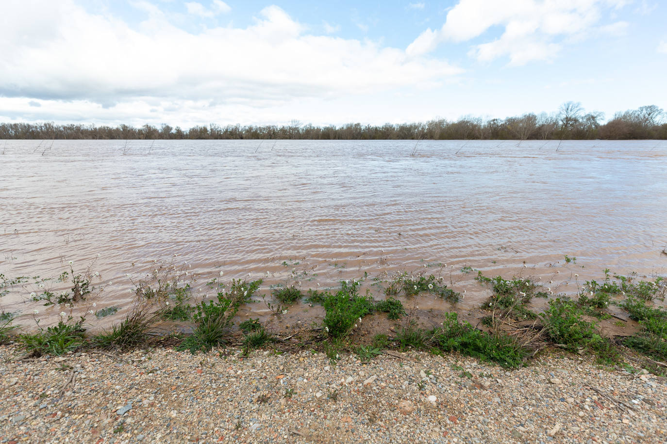 Así bajaba el Ebro por Alfaro