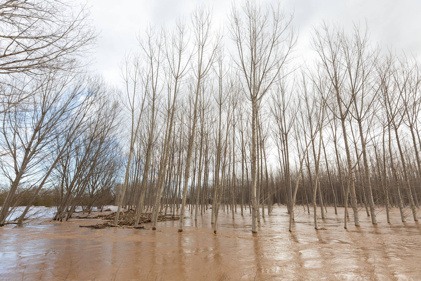 Así bajaba el Ebro por Alfaro