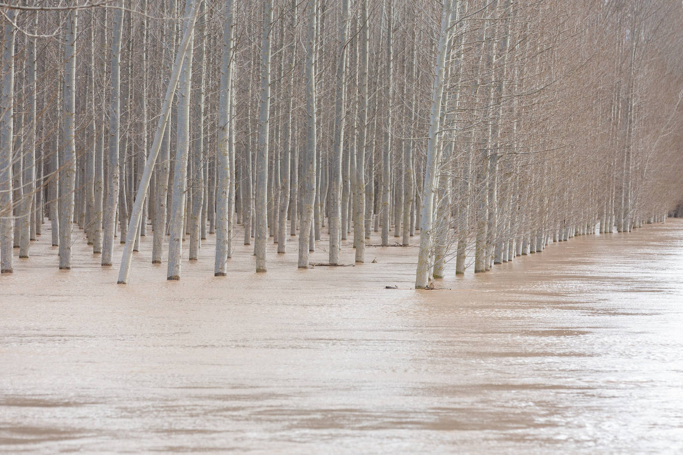 Así bajaba el Ebro por Alfaro